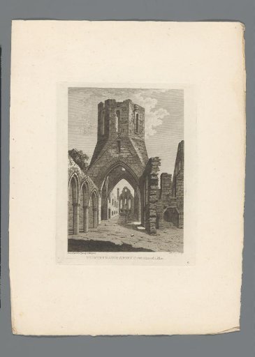 View of the ruins of the abbey of Tristernagh