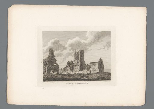 View of the ruins of Clonshanvill Abbey