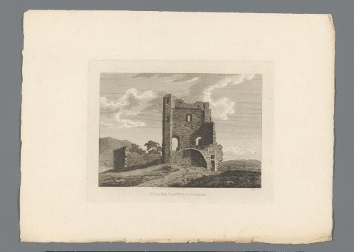 View of the ruins of Cullum Castle