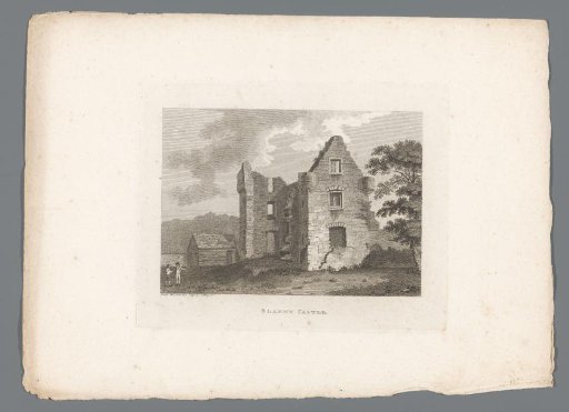 View of the ruins of Blaney Castle