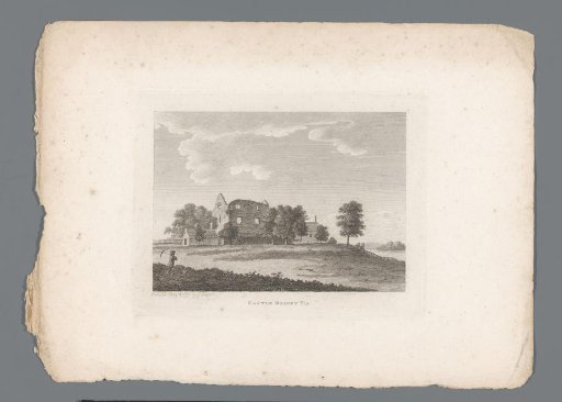 View of the ruins of Blaney Castle