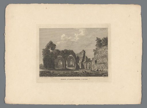 View of the ruins of Castledermot Abbey