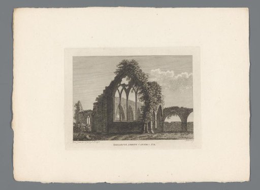 View of the ruins of Dermot Abbey