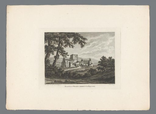 View of the ruins of Black Abbey