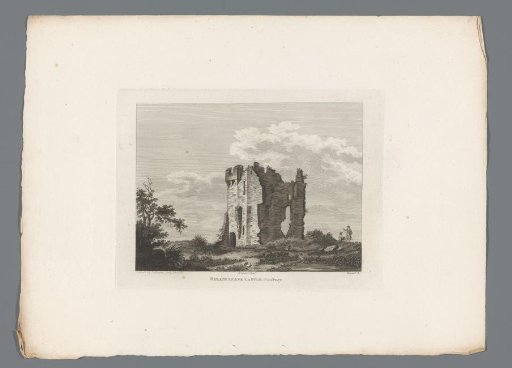 View of the ruins of Ballinsnave Castle