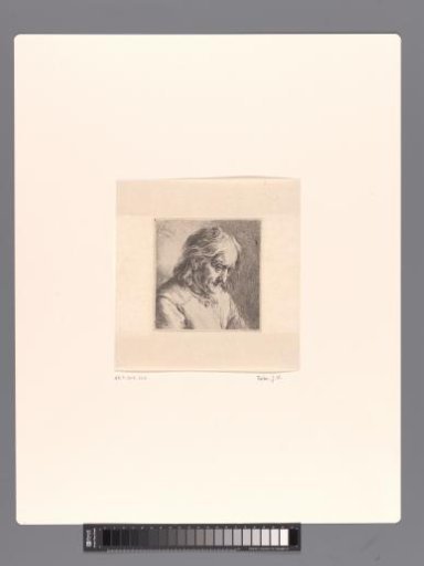 Bust of an old man, half turned to the right