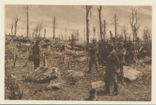 The forest on the summit of the Hartmannswillerkopf (...) has been completely destroyed by artillery fire