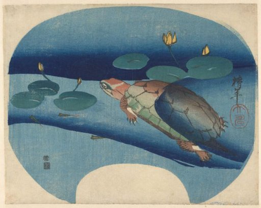 Fan print with a turtle swimming among water lilies