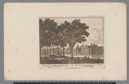 View of the Buitenhof and the Vijverberg