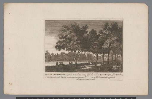 View of the Vijverberg and the Hofvijver