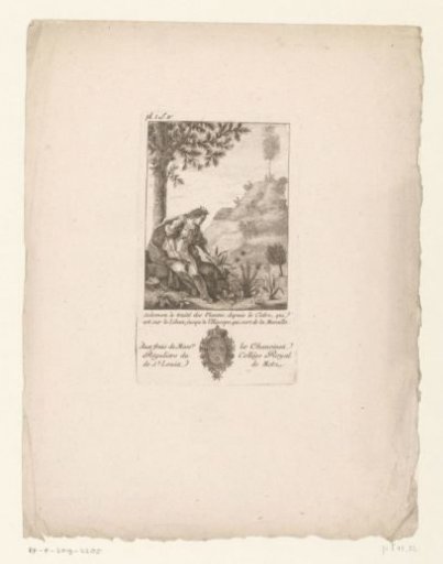 Solomon Transporting Trees to Jerusalem