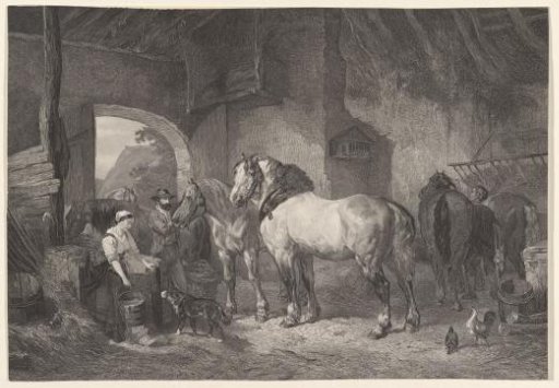 Feeding the Horses in a Stable