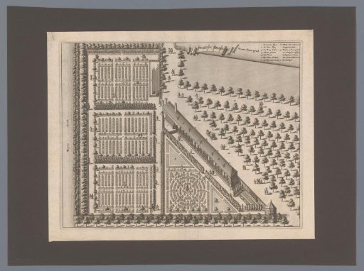 Plan of the Hortus Medicus (Hortus Botanicus) in Amsterdam