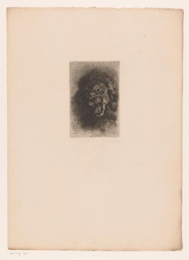 Lion's head