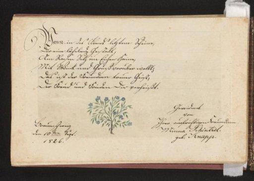 Text and forget-me-nots