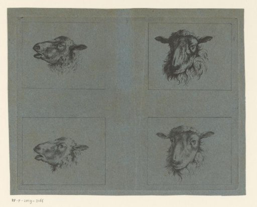 Four Sheep Heads
