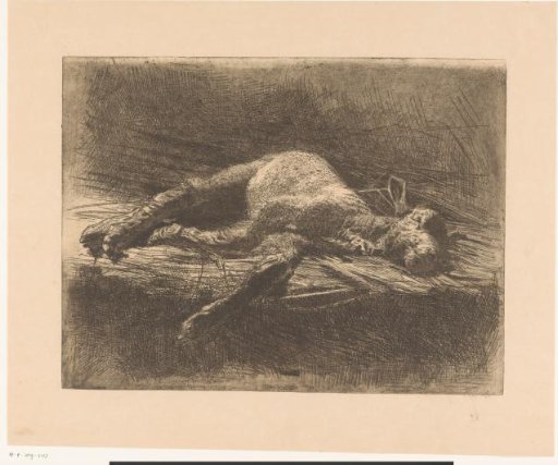 Lamb