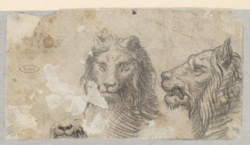 Study of Three Lion Heads