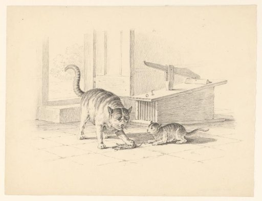 Two Cats with a Mouse