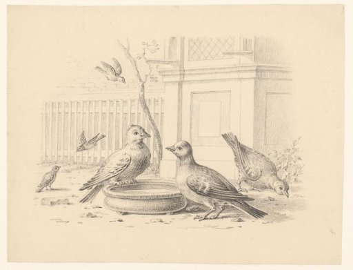 Birds at a Bird Bath
