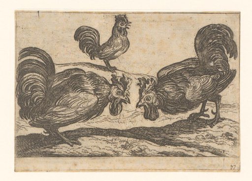 Two fighting roosters