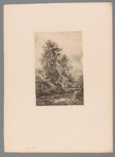 Bank of a Stream