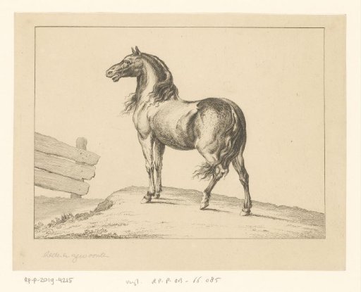 Snorting horse