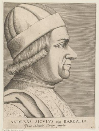 Portrait of Andrea Barbazza