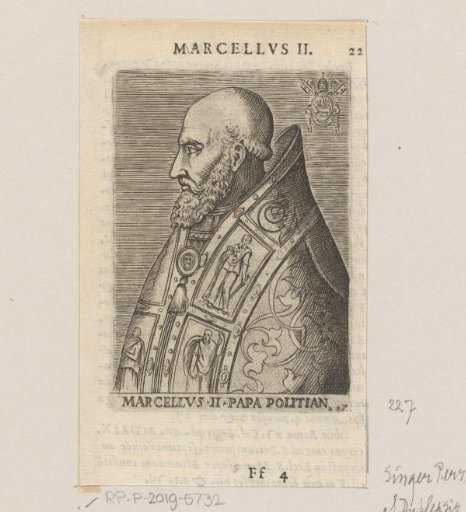 Portrait of Pope Marcellus II