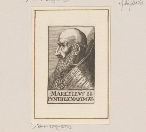 Portrait of Pope Marcellus II