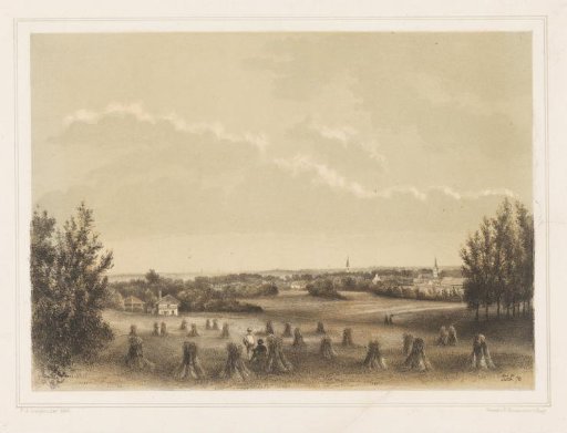 View of a meadow with sheaves of corn near the estate of Larenberg