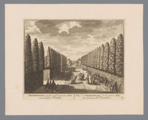 View of the Grand Avenue of House Petersburg