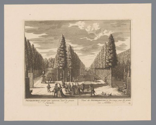 View of the Avenues of House Petersburg