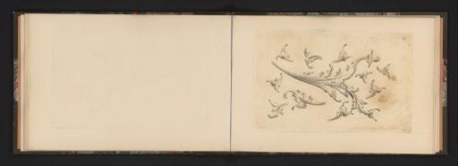 Ornamental decoration of leaves