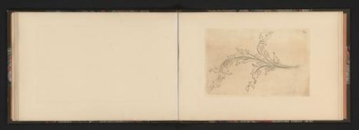 Ornamental decoration of a leaf