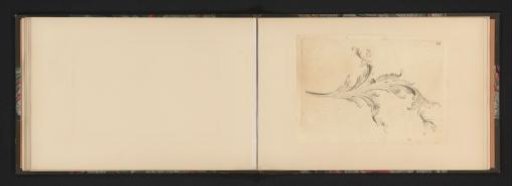 Ornamental decoration of a leaf