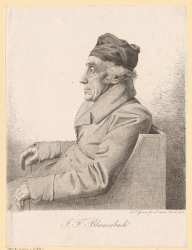 Portrait of Johann Friedrich Blumenbach