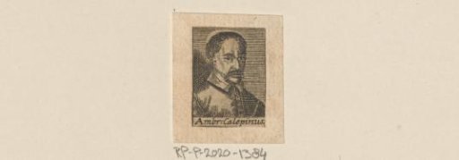Portrait of Ambrogio Calepino