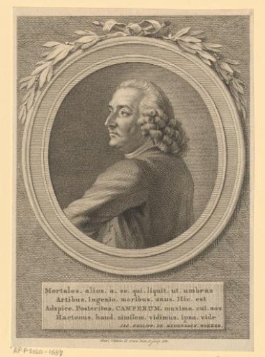 Portrait of Petrus Camper