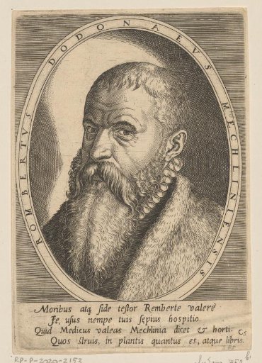 Portrait of Rembertus Dodonaeus