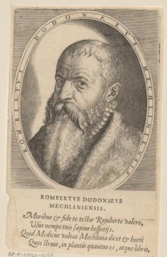 Portrait of Rembertus Dodonaeus