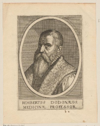 Portrait of Rembertus Dodonaeus