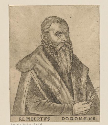 Portrait of Rembertus Dodonaeus