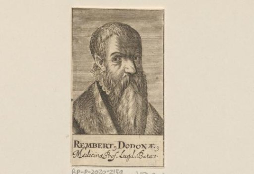 Portrait of Rembertus Dodonaeus