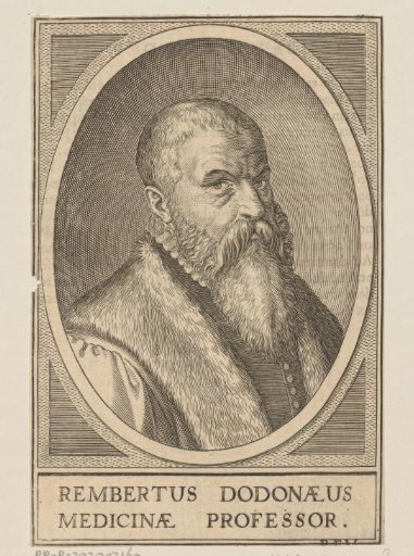 Portrait of Rembertus Dodonaeus