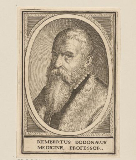 Portrait of Rembertus Dodonaeus