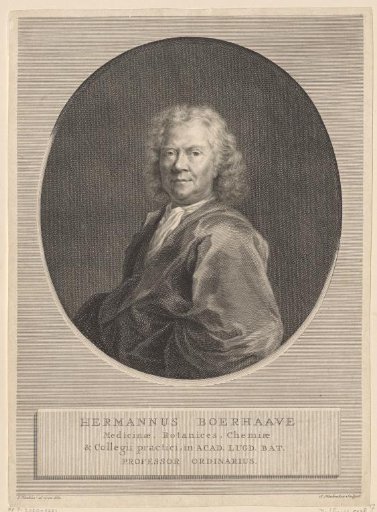 Portrait of Hermanus Boerhaave