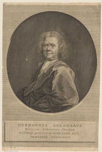 Portrait of Hermanus Boerhaave
