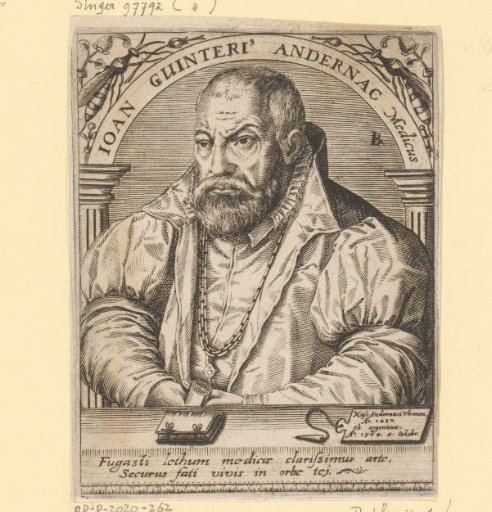 Portrait of Johann Winter von Andernach