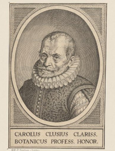 Portrait of Carolus Clusius